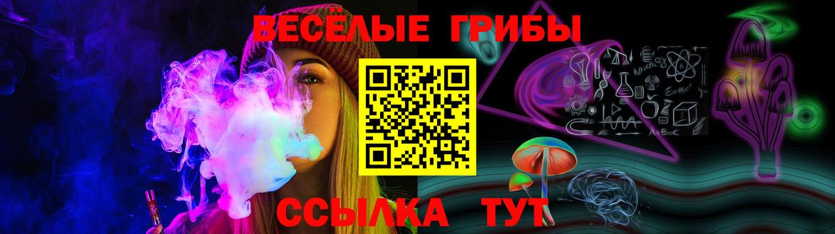 Знаменск  закладки  Вход с VPN  Галлюциногенные грибы прущие грибы  Галлюциногенные грибы мухоморы 